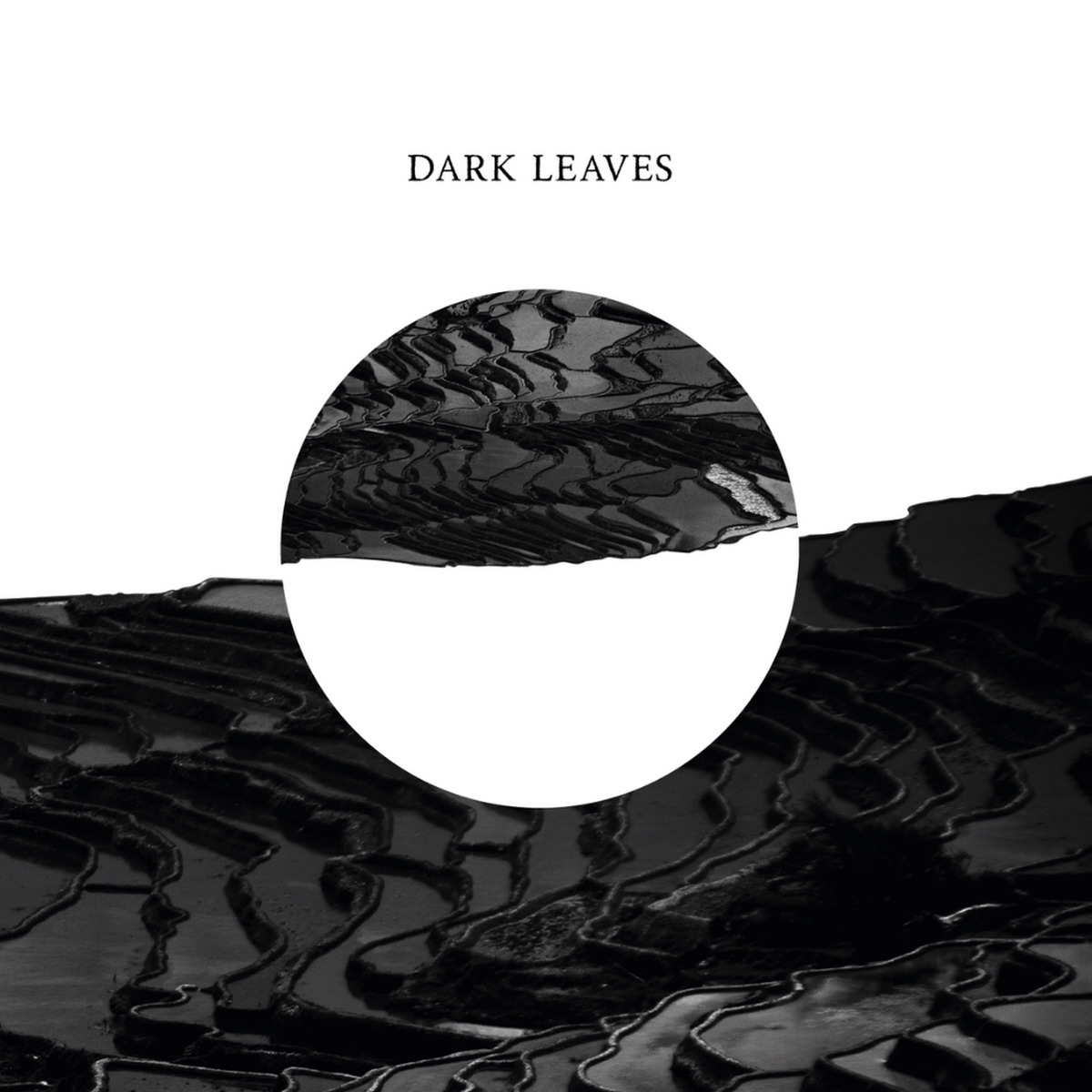 Płyta DARK LEAVES • „Dark Leaves”. Recenzja