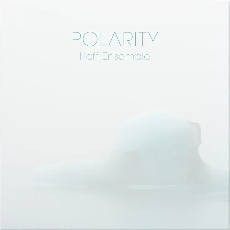 Dwie nowe płyty LP z wytwórni 2L: POLARITY oraz HOME
